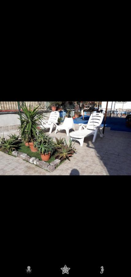 Vacanze Da Angela - Orto Botanico Napoli Bagian luar foto