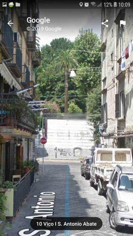 Vacanze Da Angela - Orto Botanico Napoli Bagian luar foto